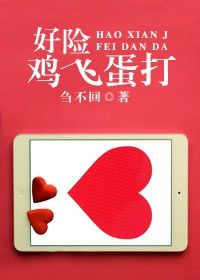 好险鸡飞蛋打小说