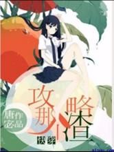 攻略那个渣小说