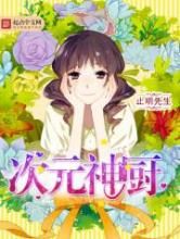 次元神厨小说