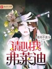 请叫我弗莱迪小说