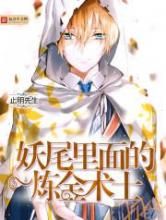 妖尾里面的炼金术士小说