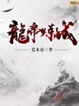 龙帝炼成小说