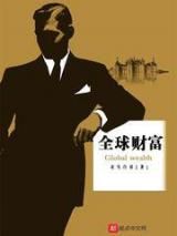 全球财富小说