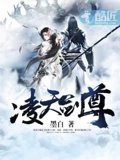 凌天剑尊小说