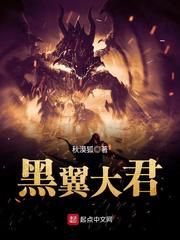 黑翼大君小说