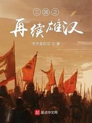 三国之再续雄汉小说