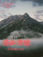 追凶迷途小说