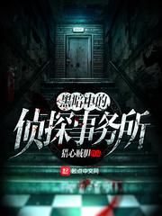 黑暗中的侦探事务所小说