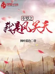斗罗之我是风笑天小说