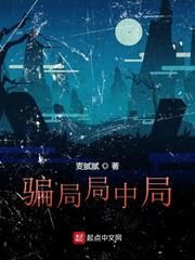 骗局局中局小说