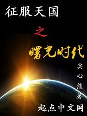 征服天国之曙光时代小说