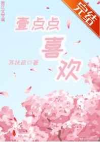 一点点喜欢小说