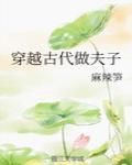 穿越古代做夫子小说