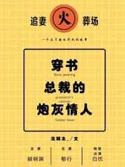 总裁的炮灰情人小说