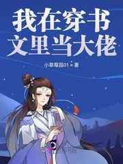 我在穿书文里当大佬小说
