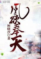 凰欲奉天小说