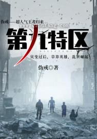 第九特区小说