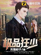 极品狂少小说