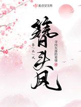 簪头凤小说