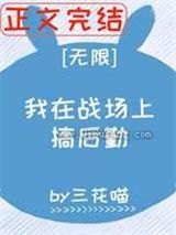 我在战场上搞后勤小说