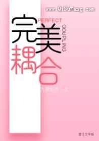 完美耦合小说