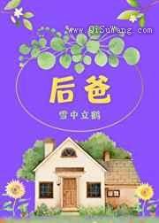 后爸小说