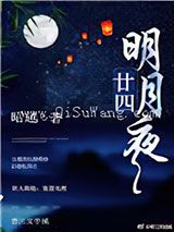 廿四明月夜小说