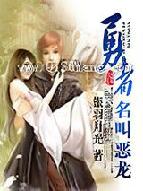 勇者名叫恶龙小说
