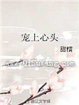 宠上心头小说