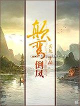 颠鸾倒凤小说