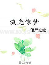 流光惊梦小说