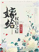 嫁给权臣之后小说