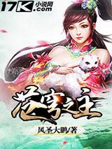 苍穹之主小说