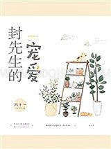 封先生的宠爱小说