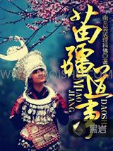 苗疆道事小说