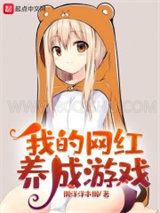 我的网红养成游戏小说