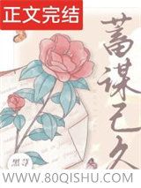 蓄谋已久小说