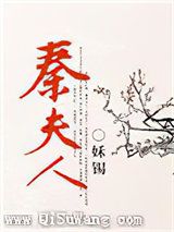 秦夫人小说