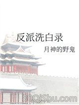 反派洗白录小说
