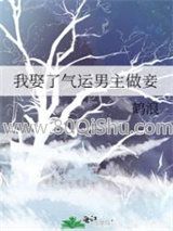 我娶了气运男主做妾小说