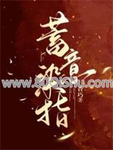 蓄意染指小说