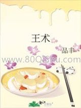 王术小说