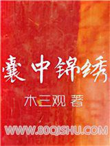 囊中锦绣小说