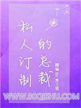 私人订制的总裁小说