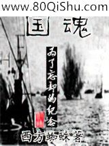 国魂小说