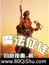 魔法征徒小说