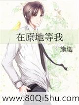 在原地等我小说