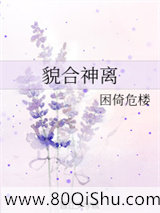 貌合神离小说