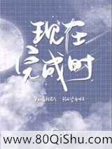 现在完成时小说