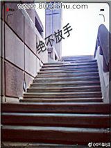 绝不放手小说